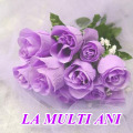 1257471579-la-multi-ani
