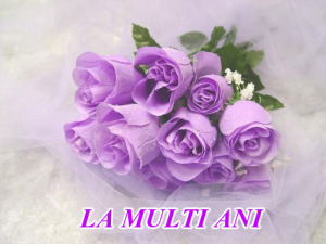 1257471579-la-multi-ani